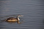 IMG_4831