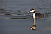 IMG_4869