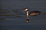 IMG_4872