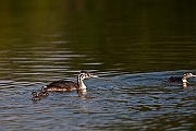 IMG_4902