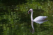 IMG_4948