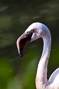 IMG_4958