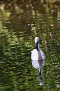 IMG_4982