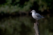 IMG_5051