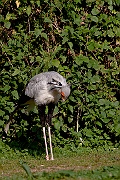 IMG_5072