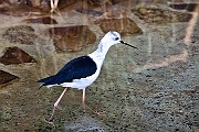 IMG_5089