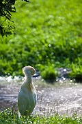 IMG_5114