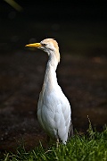 IMG_5149