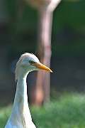 IMG_5169