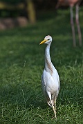 IMG_5180