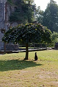 IMG_5300