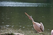 IMG_2043