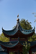 IMG_2111