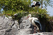 IMG_2134
