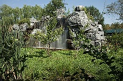 IMG_2141