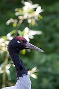 IMG_2146