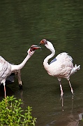 IMG_2183