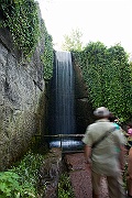 IMG_2203