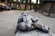 IMG_2265