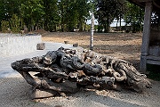 IMG_2266