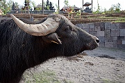 IMG_2274