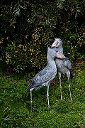 IMG_2314