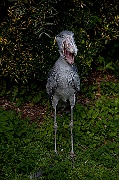 IMG_2320