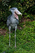 IMG_2327