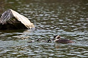 IMG_2397