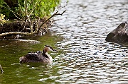 IMG_2436