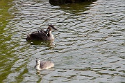 IMG_2497