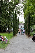 IMG_2504