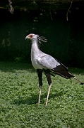 IMG_2469