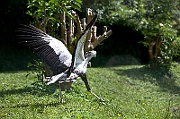 IMG_2493