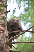 IMG_3040