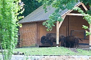 IMG_3045