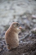 IMG_3053