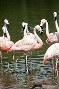 IMG_3096