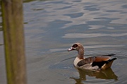 IMG_3136