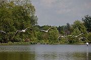 IMG_3206