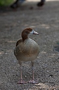 IMG_3235
