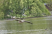 IMG_3321