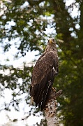 IMG_3357