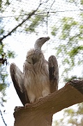 IMG_3362