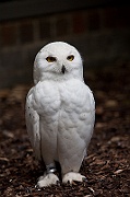 IMG_3386