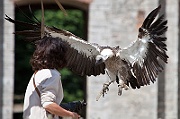 IMG_5445