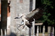 IMG_5469