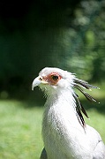 IMG_5645