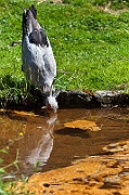 IMG_5660