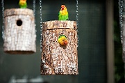 IMG_6218